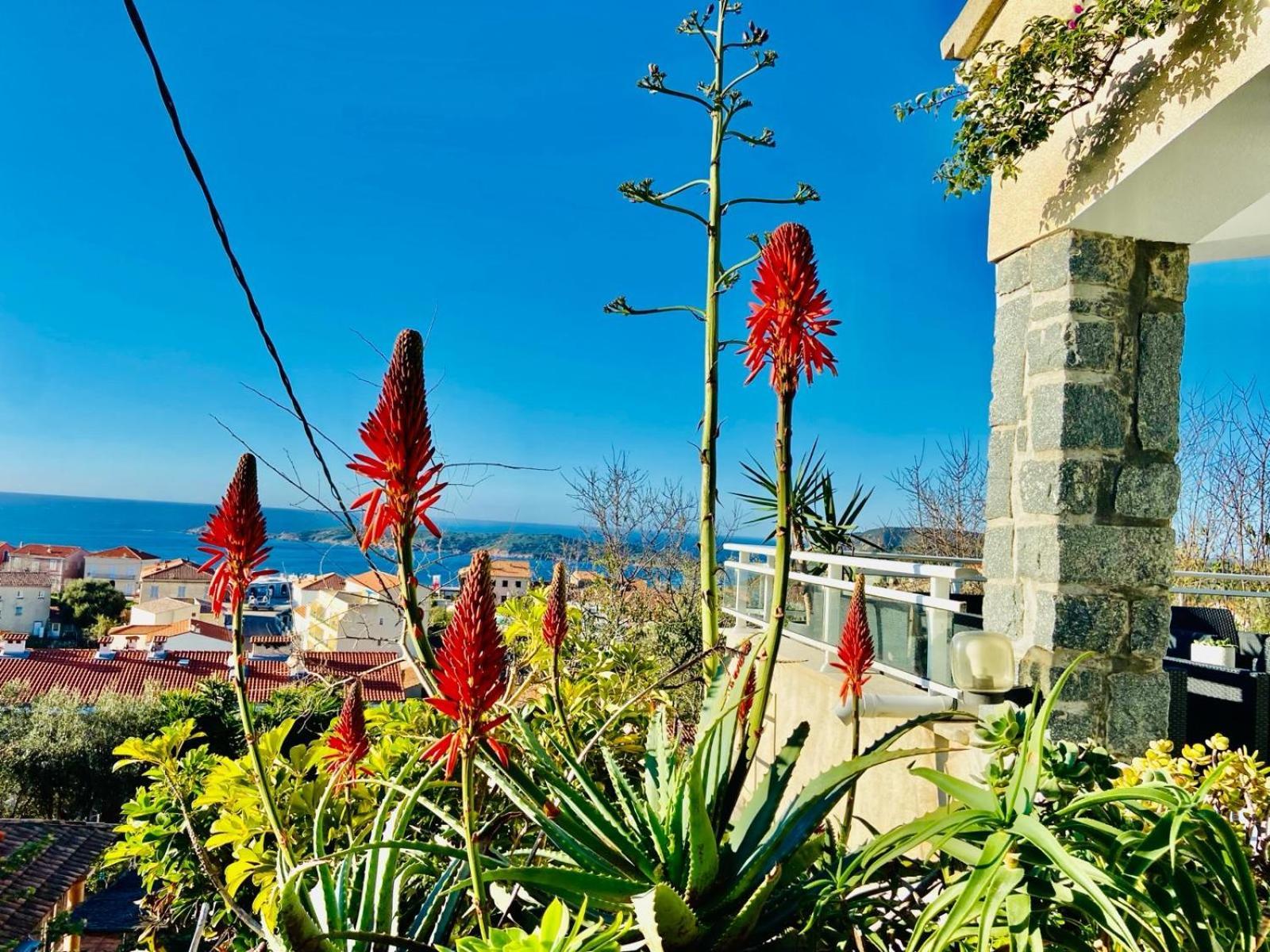 Villa Montalbo Vue Mer De 2 A 10 Personnes Cargèse Exteriér fotografie
